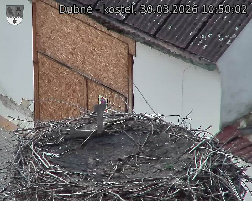 Capi_Dubne_20260330_105002.jpg (1350&nbsp;x&nbsp;1080)