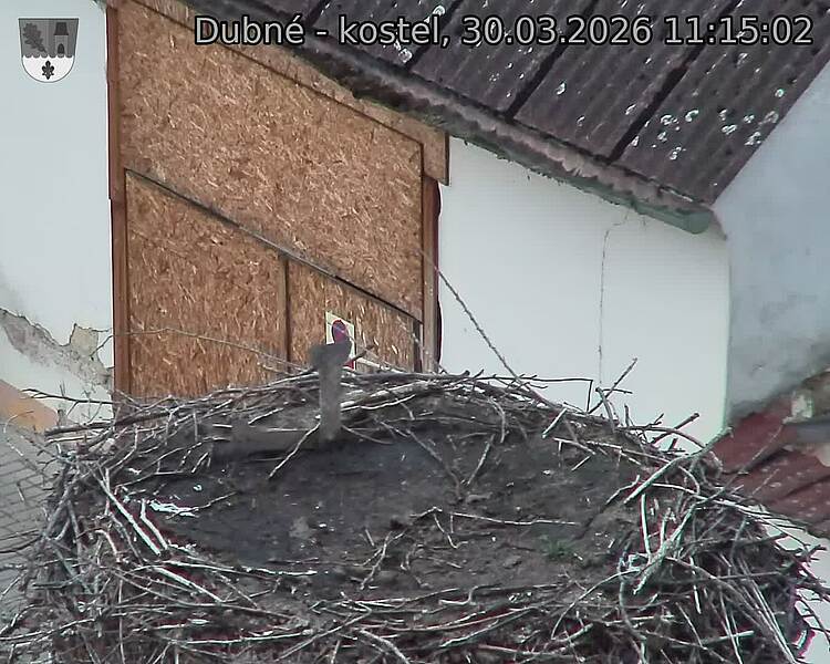 Capi_Dubne_20260330_111502.jpg (1350&nbsp;x&nbsp;1080)