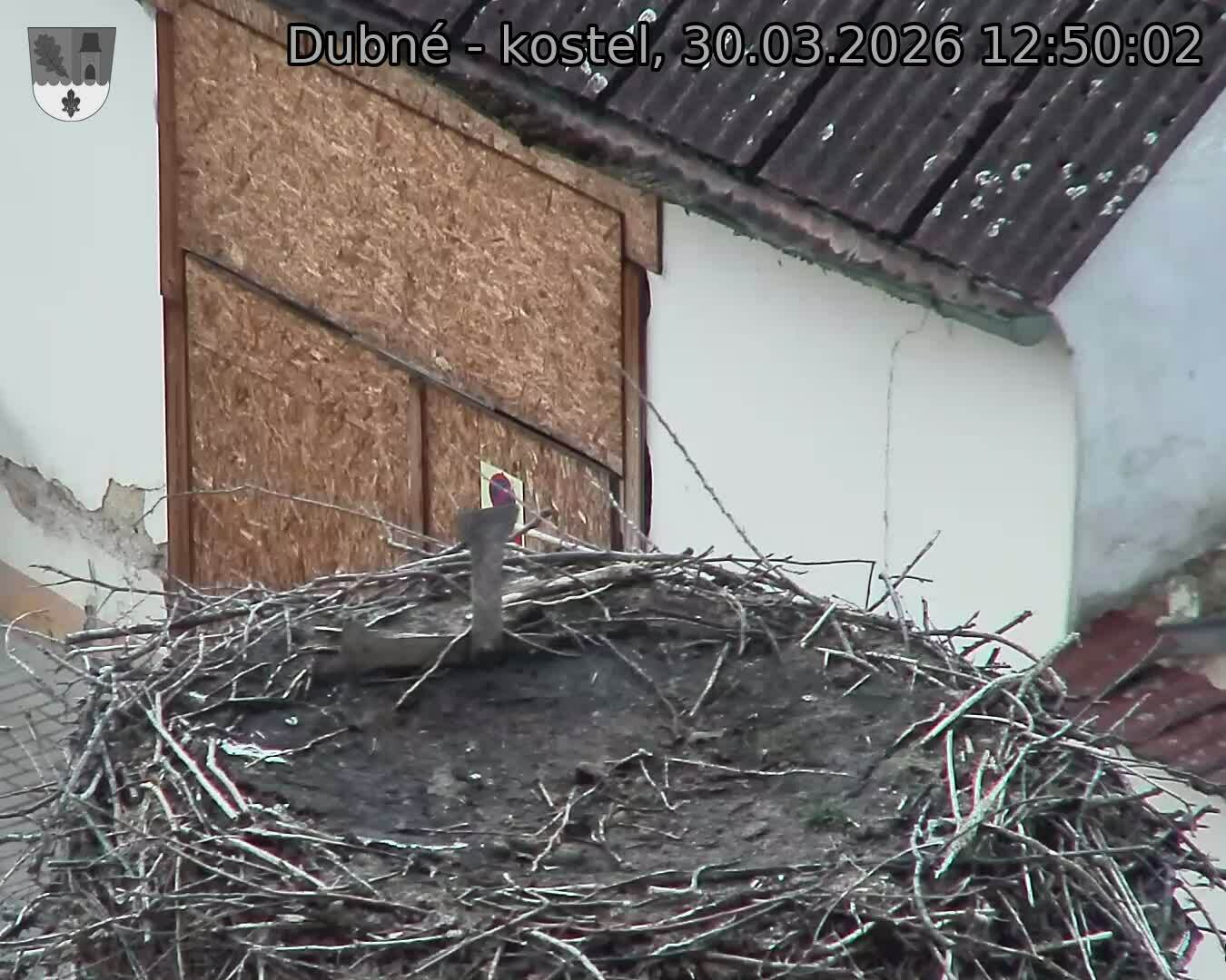 Capi_Dubne_20260330_125002.jpg (1350&nbsp;x&nbsp;1080)