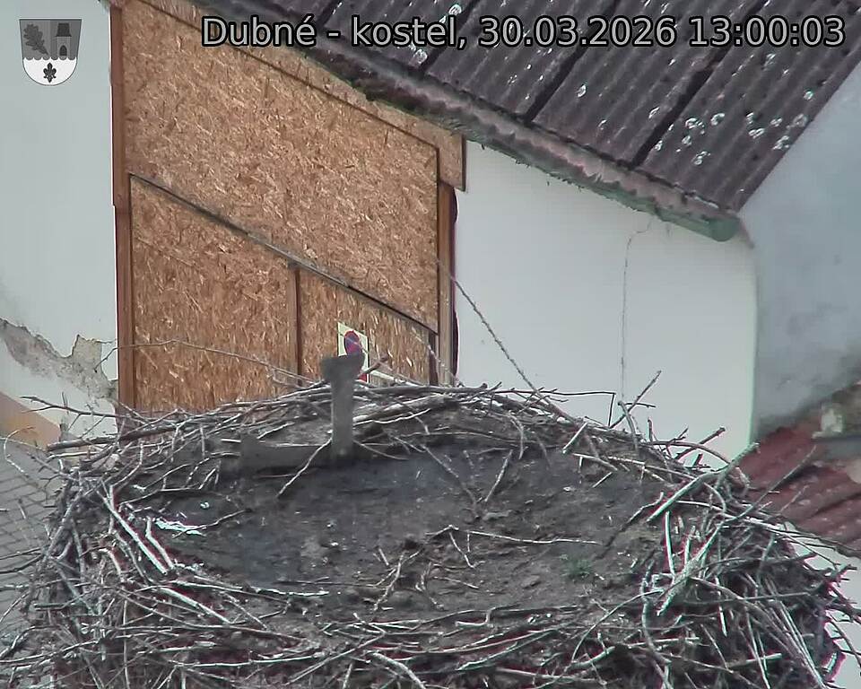 Capi_Dubne_20260330_130003.jpg (1350&nbsp;x&nbsp;1080)