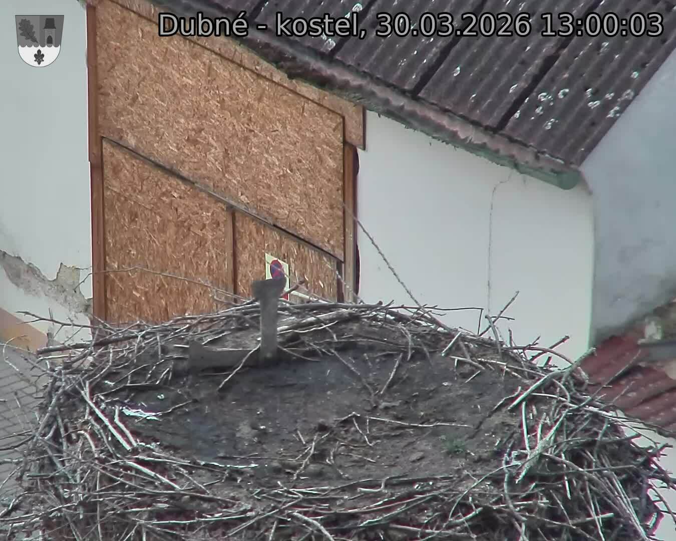 Capi_Dubne_20260330_130003.jpg (1350&nbsp;x&nbsp;1080)