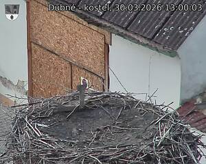 Capi_Dubne_20260330_130003.jpg (1350&nbsp;x&nbsp;1080)