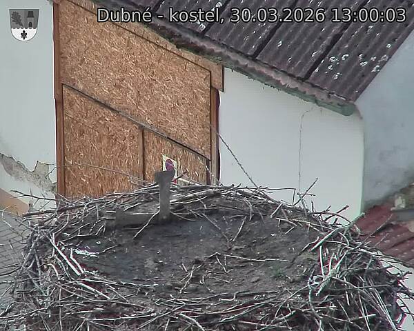 Capi_Dubne_20260330_130003.jpg (1350&nbsp;x&nbsp;1080)