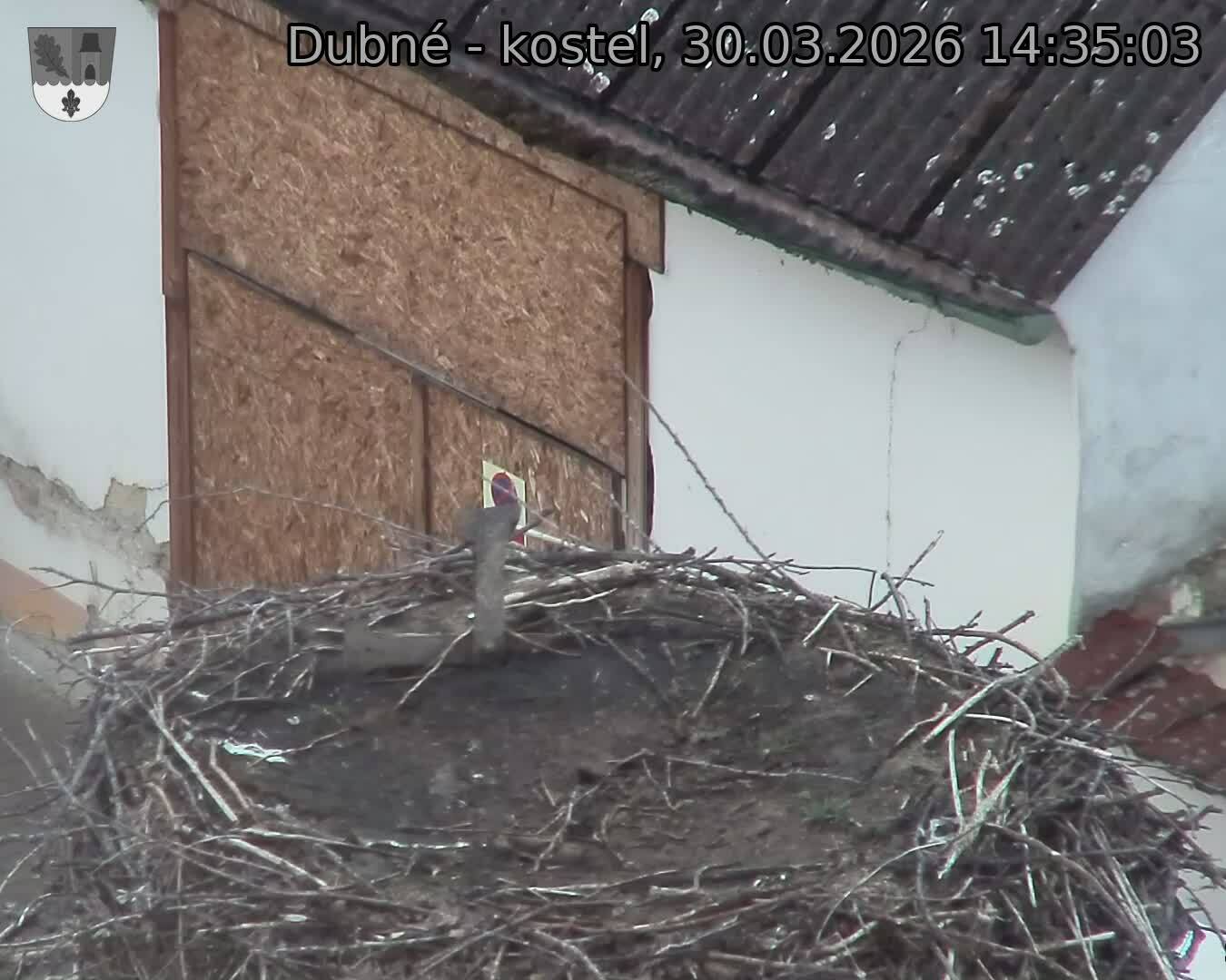 Capi_Dubne_20260330_143503.jpg (1350&nbsp;x&nbsp;1080)