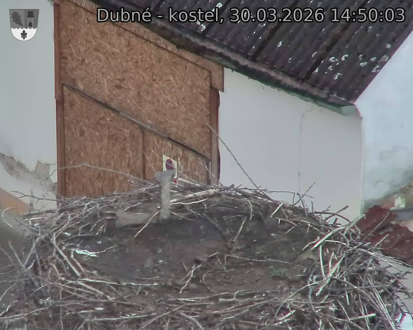 Capi_Dubne_20260330_145003.jpg (1350&nbsp;x&nbsp;1080)
