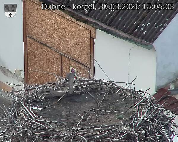Capi_Dubne_20260330_150503.jpg (1350&nbsp;x&nbsp;1080)