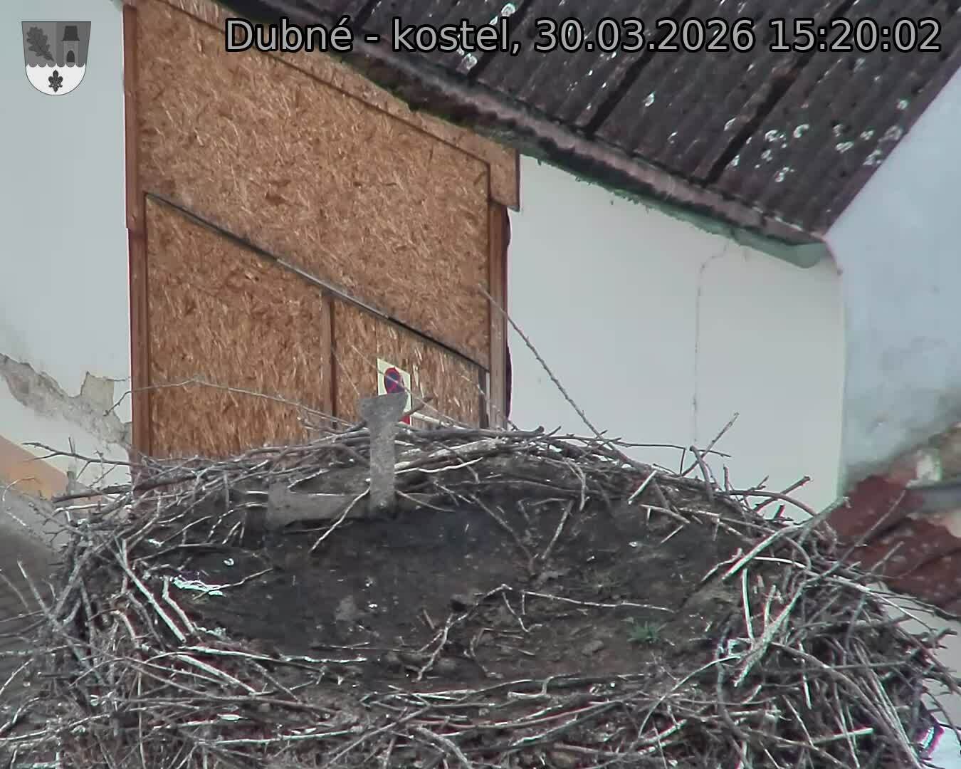 Capi_Dubne_20260330_152002.jpg (1350&nbsp;x&nbsp;1080)