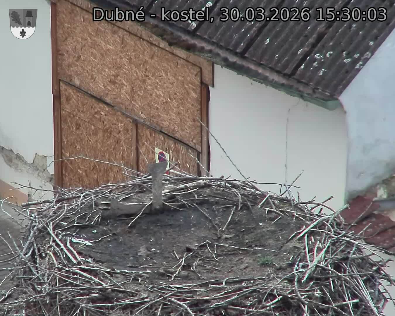 Capi_Dubne_20260330_153003.jpg (1350&nbsp;x&nbsp;1080)