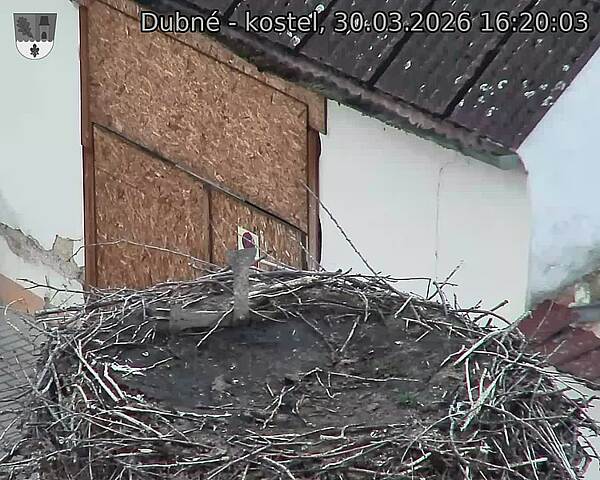 Capi_Dubne_20260330_162003.jpg (1350&nbsp;x&nbsp;1080)