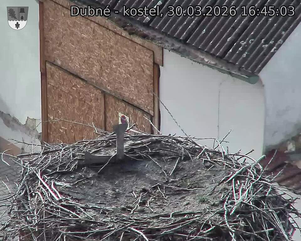 Capi_Dubne_20260330_164503.jpg (1350&nbsp;x&nbsp;1080)