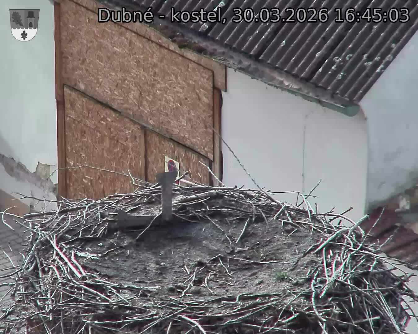 Capi_Dubne_20260330_164503.jpg (1350&nbsp;x&nbsp;1080)