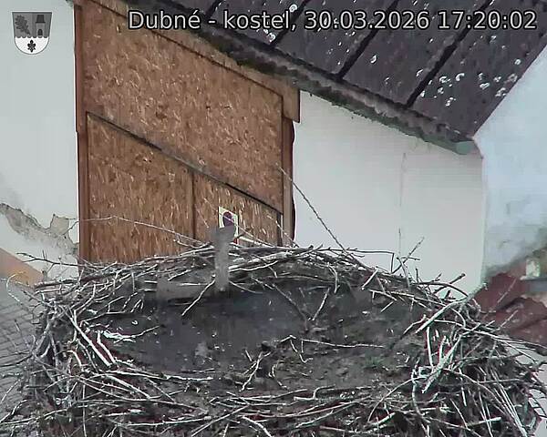 Capi_Dubne_20260330_172002.jpg (1350&nbsp;x&nbsp;1080)