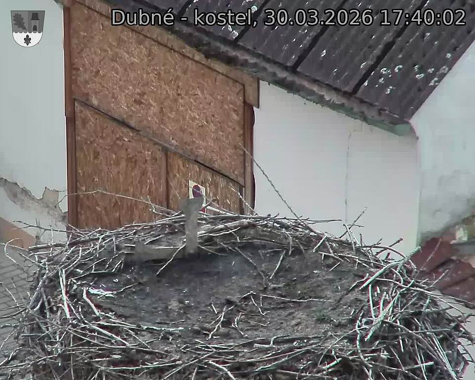 Capi_Dubne_20260330_174002.jpg (1350&nbsp;x&nbsp;1080)