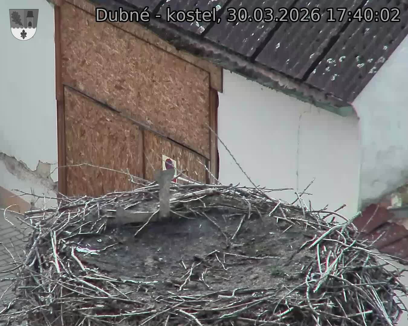 Capi_Dubne_20260330_174002.jpg (1350&nbsp;x&nbsp;1080)