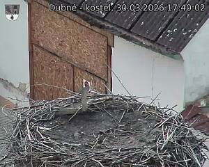 Capi_Dubne_20260330_174002.jpg (1350&nbsp;x&nbsp;1080)