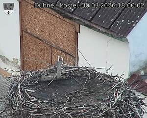 Capi_Dubne_20260330_180002.jpg (1350&nbsp;x&nbsp;1080)