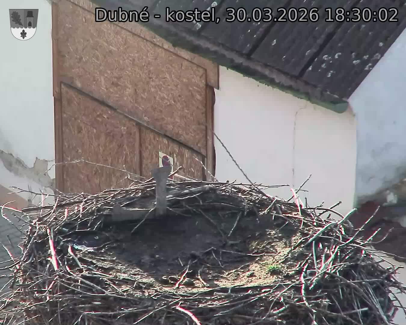 Capi_Dubne_20260330_183002.jpg (1350&nbsp;x&nbsp;1080)