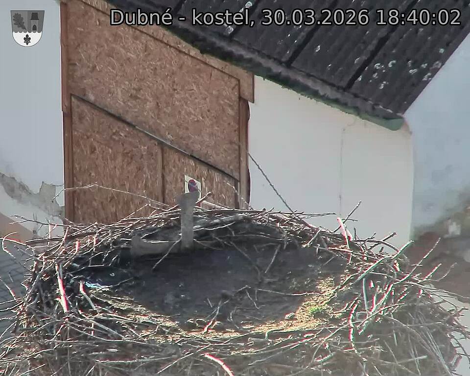 Capi_Dubne_20260330_184002.jpg (1350&nbsp;x&nbsp;1080)