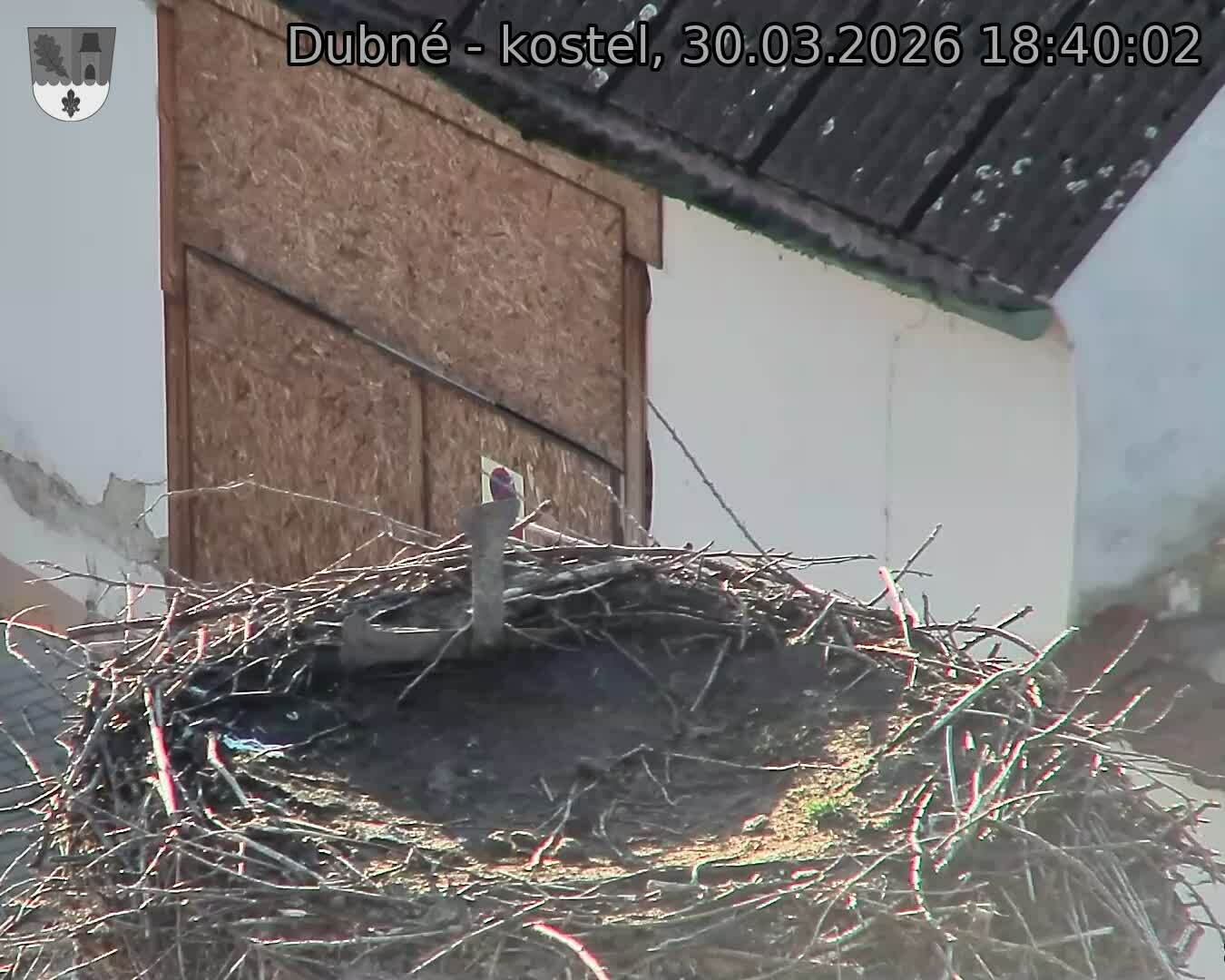 Capi_Dubne_20260330_184002.jpg (1350&nbsp;x&nbsp;1080)