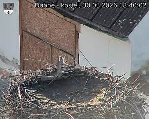 Capi_Dubne_20260330_184002.jpg (1350&nbsp;x&nbsp;1080)