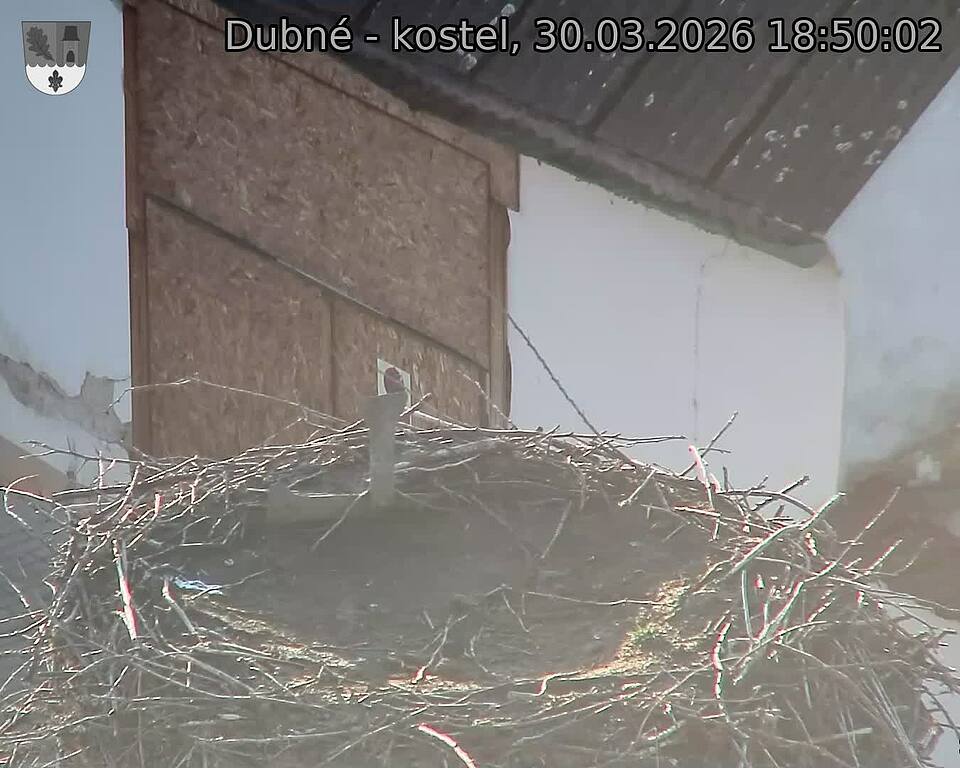 Capi_Dubne_20260330_185002.jpg (1350&nbsp;x&nbsp;1080)
