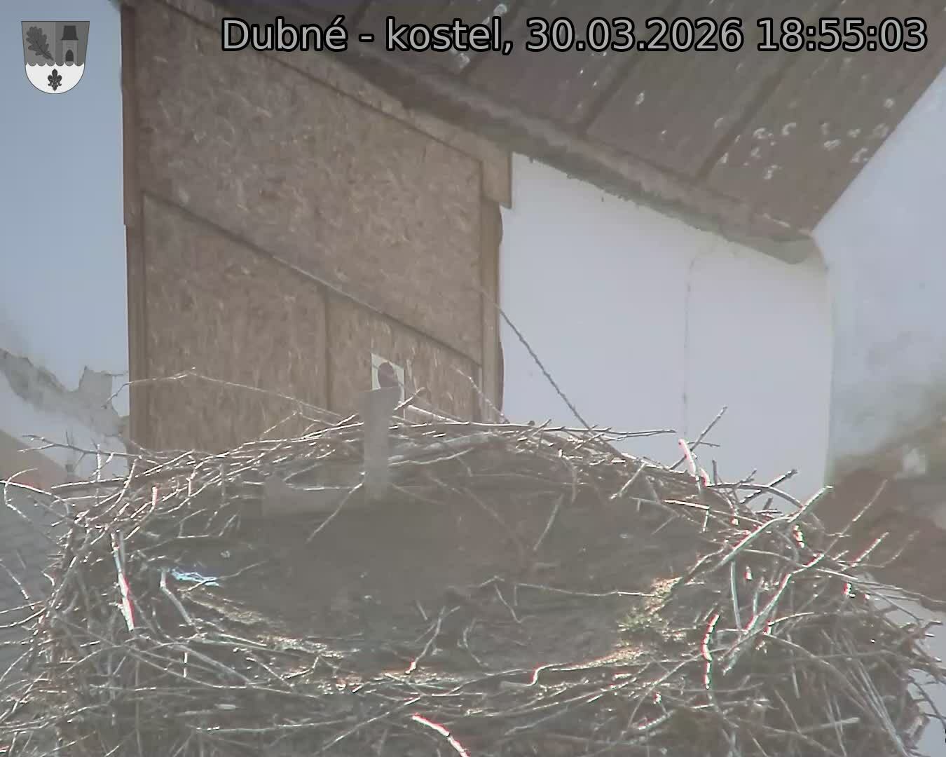 Capi_Dubne_20260330_185503.jpg (1350&nbsp;x&nbsp;1080)