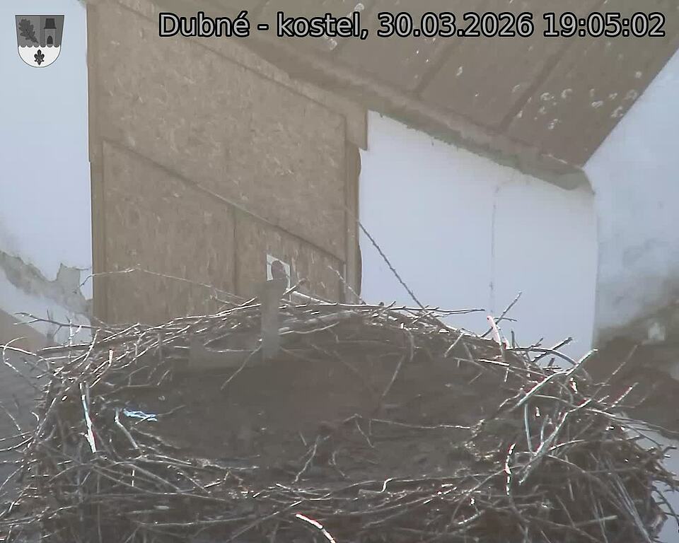 Capi_Dubne_20260330_190502.jpg (1350&nbsp;x&nbsp;1080)