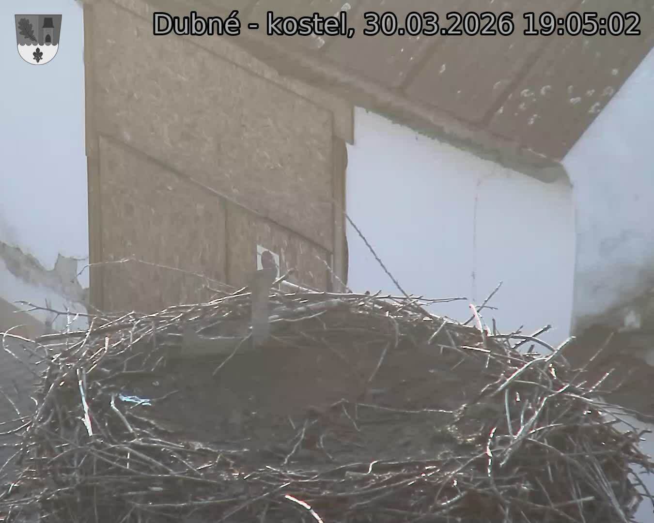 Capi_Dubne_20260330_190502.jpg (1350&nbsp;x&nbsp;1080)