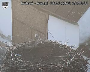 Capi_Dubne_20260330_190502.jpg (1350&nbsp;x&nbsp;1080)