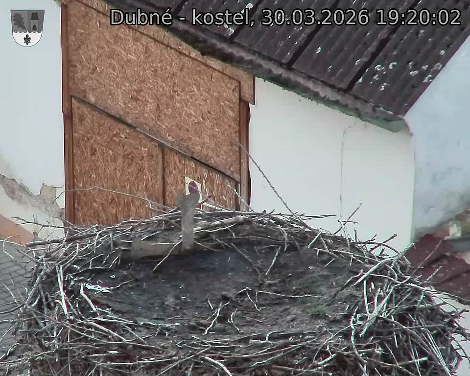Capi_Dubne_20260330_192002.jpg (1350&nbsp;x&nbsp;1080)