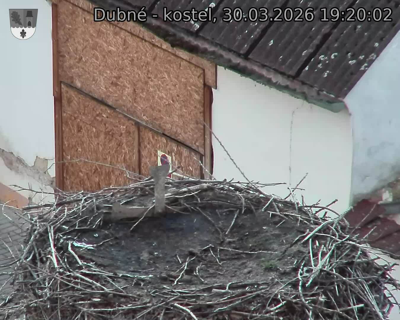 Capi_Dubne_20260330_192002.jpg (1350&nbsp;x&nbsp;1080)