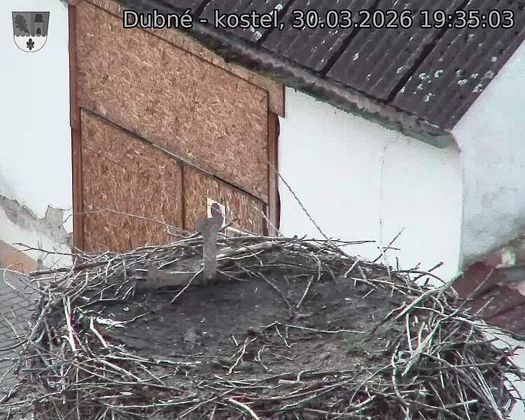 Capi_Dubne_20260330_193503.jpg (1350&nbsp;x&nbsp;1080)