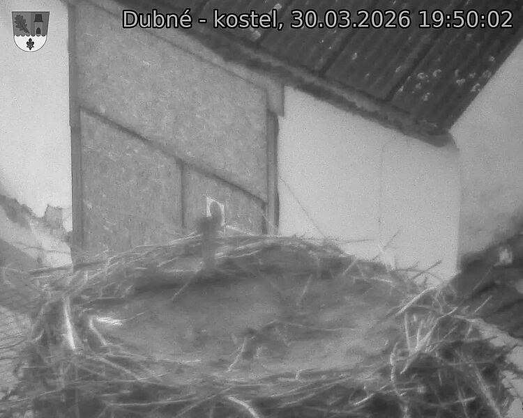 Capi_Dubne_20260330_195002.jpg (1350&nbsp;x&nbsp;1080)
