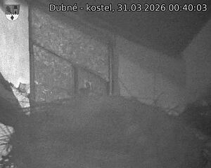 Capi_Dubne_20260331_004003.jpg (1350&nbsp;x&nbsp;1080)