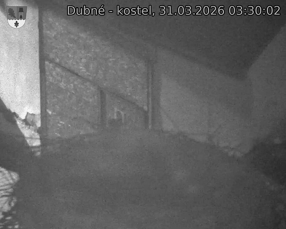 Capi_Dubne_20260331_033002.jpg (1350&nbsp;x&nbsp;1080)