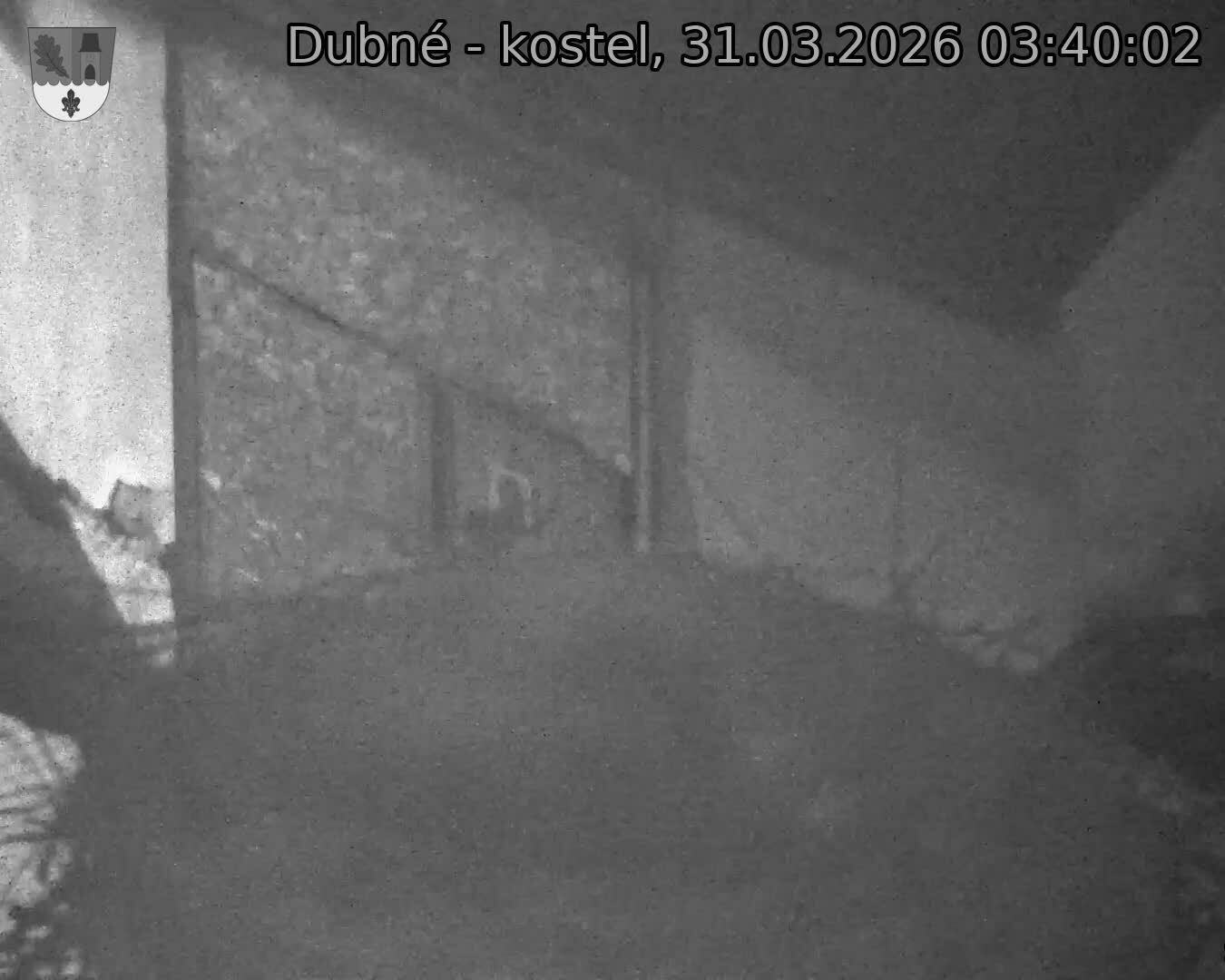 Capi_Dubne_20260331_034002.jpg (1350&nbsp;x&nbsp;1080)