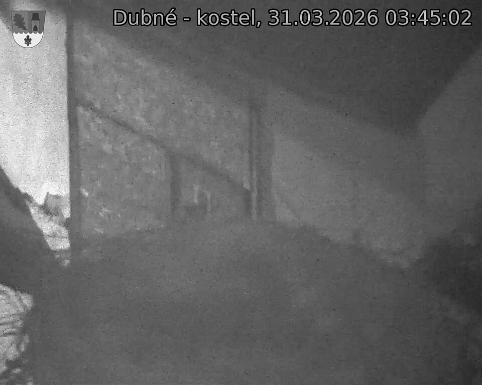 Capi_Dubne_20260331_034502.jpg (1350&nbsp;x&nbsp;1080)