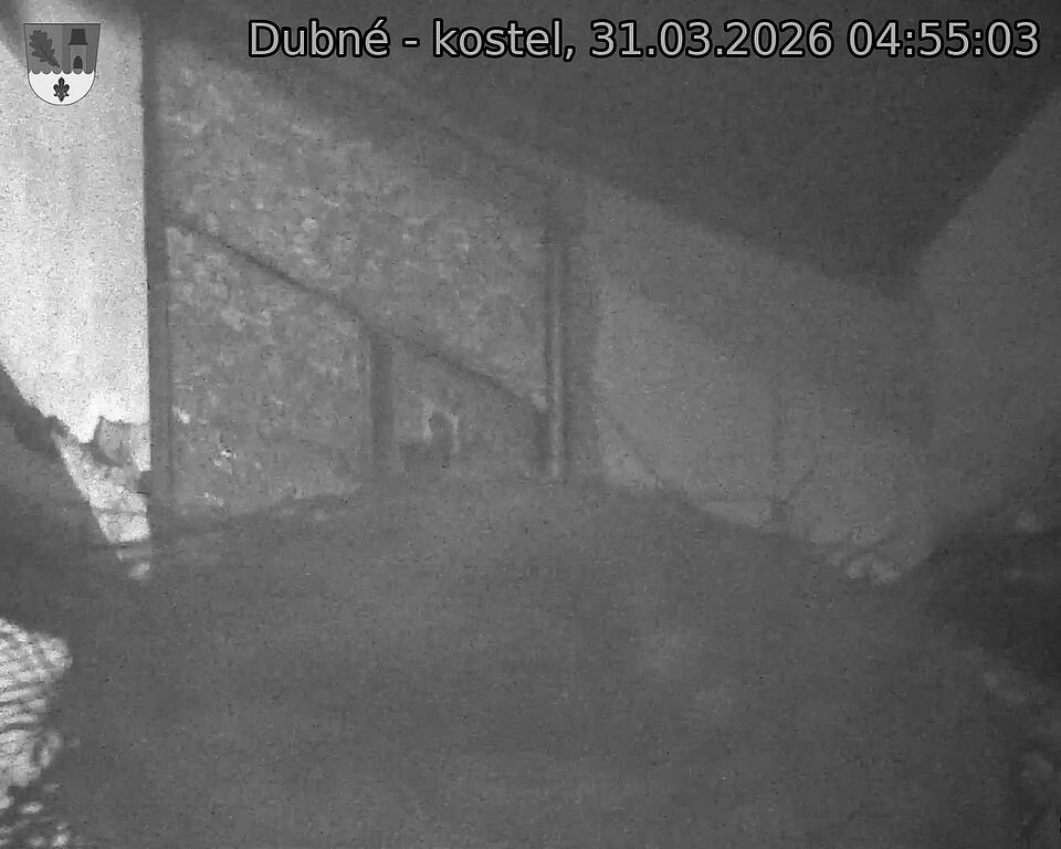Capi_Dubne_20260331_045503.jpg (1350&nbsp;x&nbsp;1080)