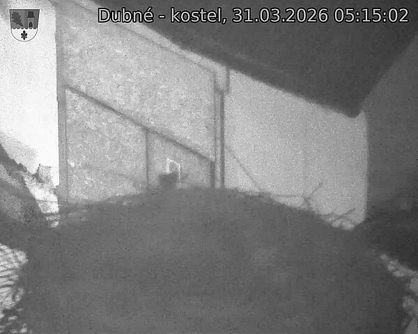 Capi_Dubne_20260331_051502.jpg (1350&nbsp;x&nbsp;1080)