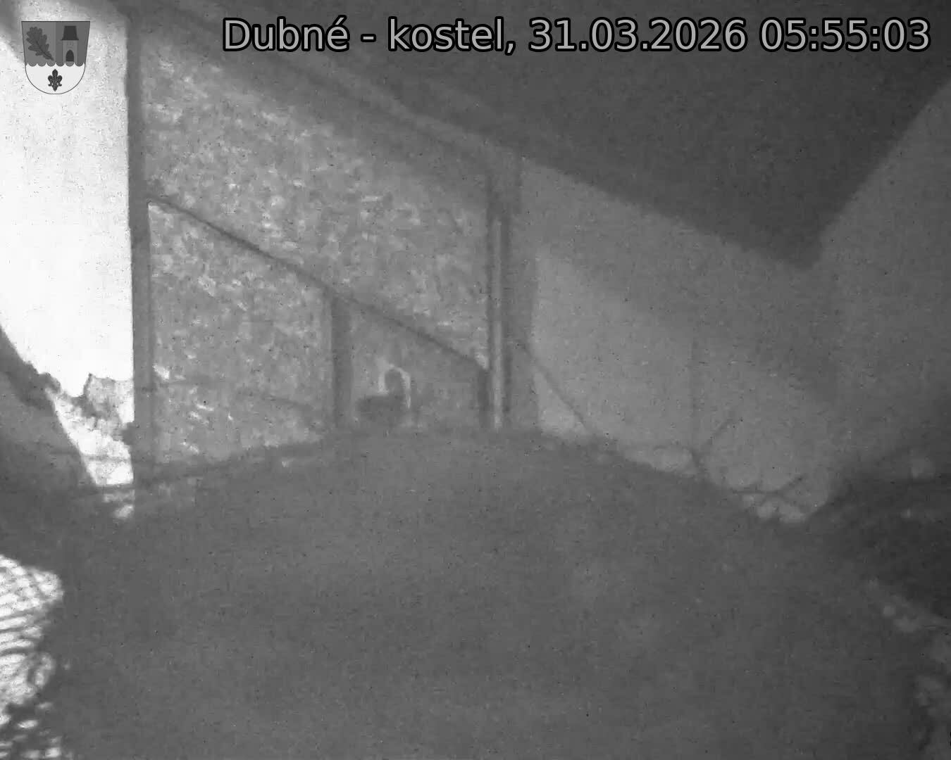 Capi_Dubne_20260331_055503.jpg (1350&nbsp;x&nbsp;1080)