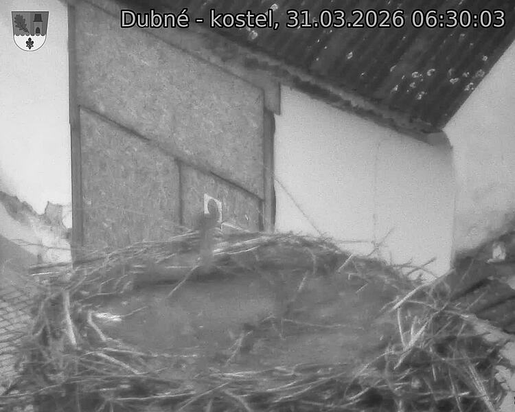 Capi_Dubne_20260331_063003.jpg (1350&nbsp;x&nbsp;1080)