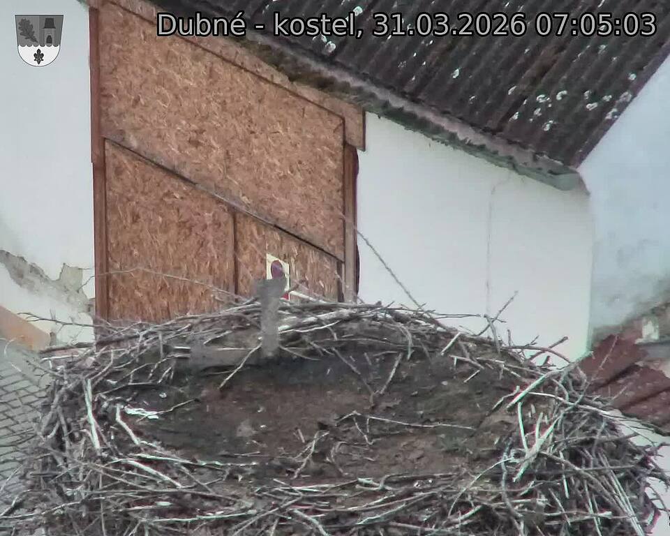 Capi_Dubne_20260331_070503.jpg (1350&nbsp;x&nbsp;1080)