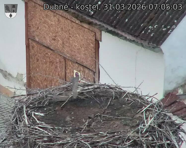 Capi_Dubne_20260331_070503.jpg (1350&nbsp;x&nbsp;1080)