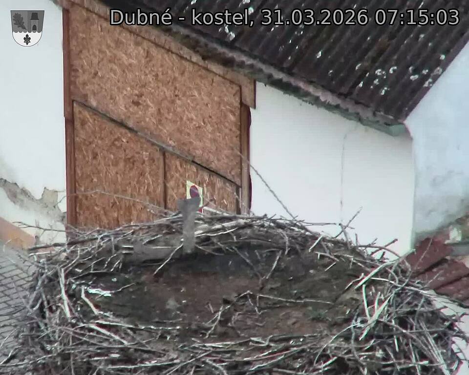 Capi_Dubne_20260331_071503.jpg (1350&nbsp;x&nbsp;1080)