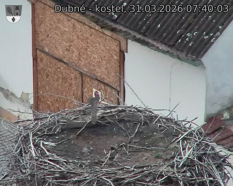Capi_Dubne_20260331_074003.jpg (1350&nbsp;x&nbsp;1080)
