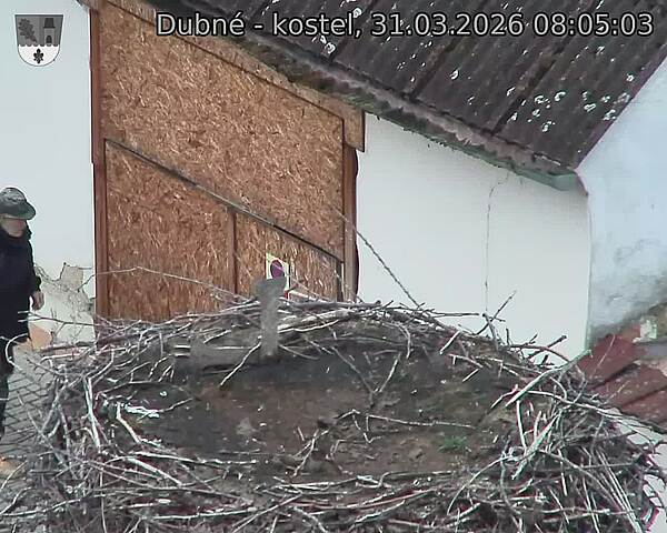 Capi_Dubne_20260331_080503.jpg (1350&nbsp;x&nbsp;1080)
