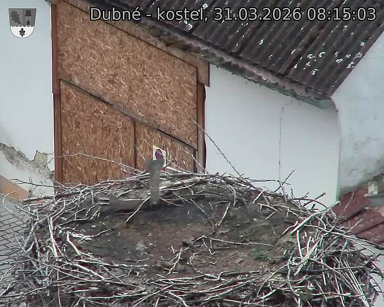 Capi_Dubne_20260331_081503.jpg (1350&nbsp;x&nbsp;1080)