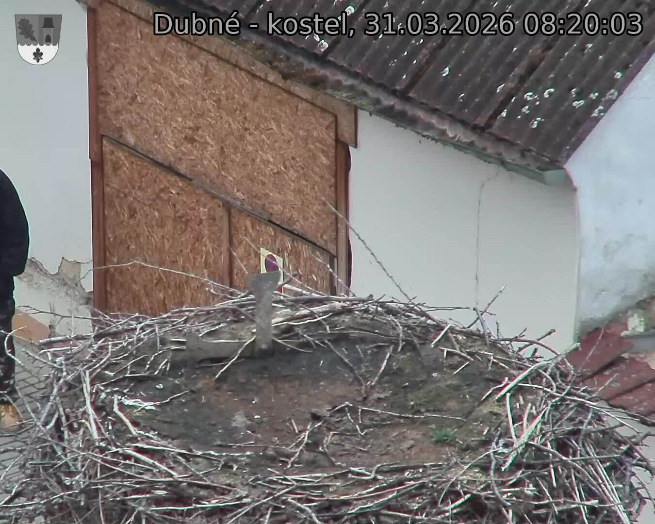 Capi_Dubne_20260331_082003.jpg (1350&nbsp;x&nbsp;1080)