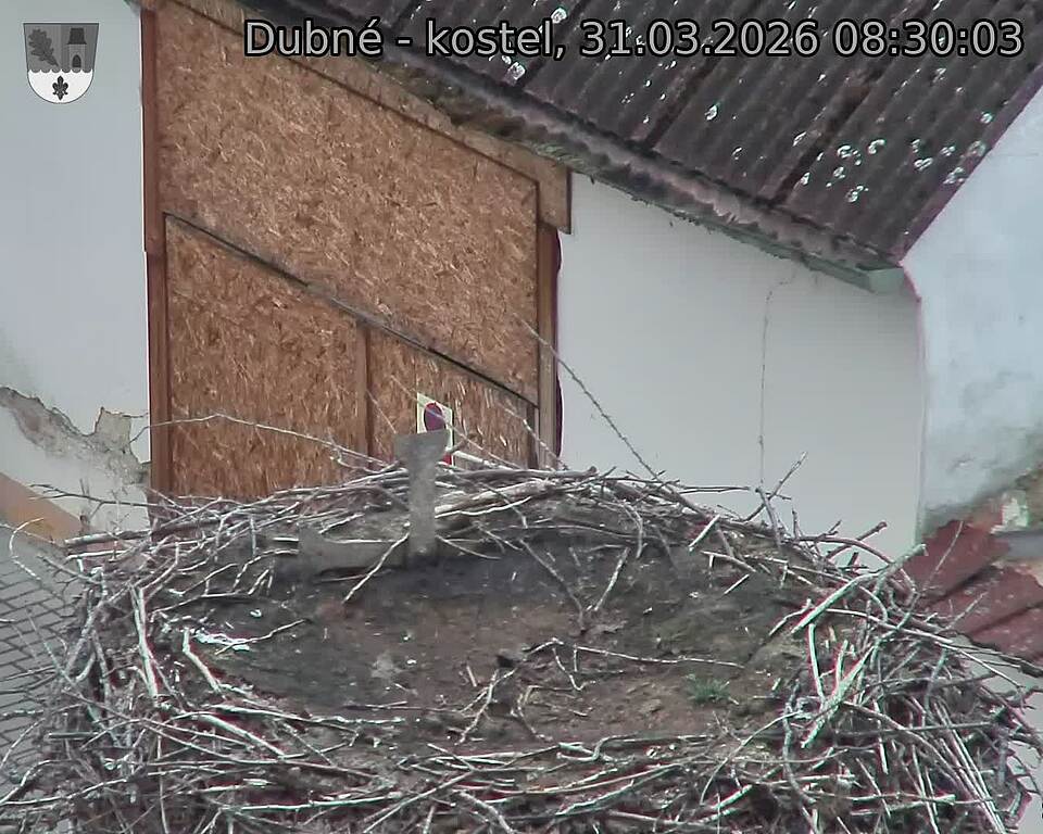 Capi_Dubne_20260331_083003.jpg (1350&nbsp;x&nbsp;1080)