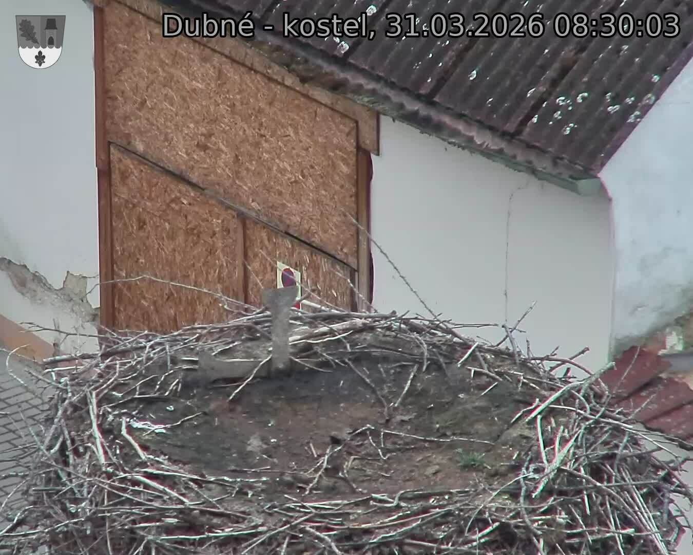 Capi_Dubne_20260331_083003.jpg (1350&nbsp;x&nbsp;1080)